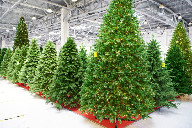 Artificial Christmas trees spruce in the store